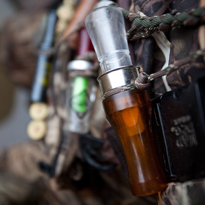 TX Teal Season